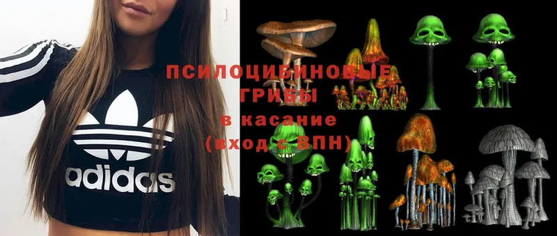 купить  сайты  Шагонар  ОМГ ОМГ зеркало  Галлюциногенные грибы Psilocybe 